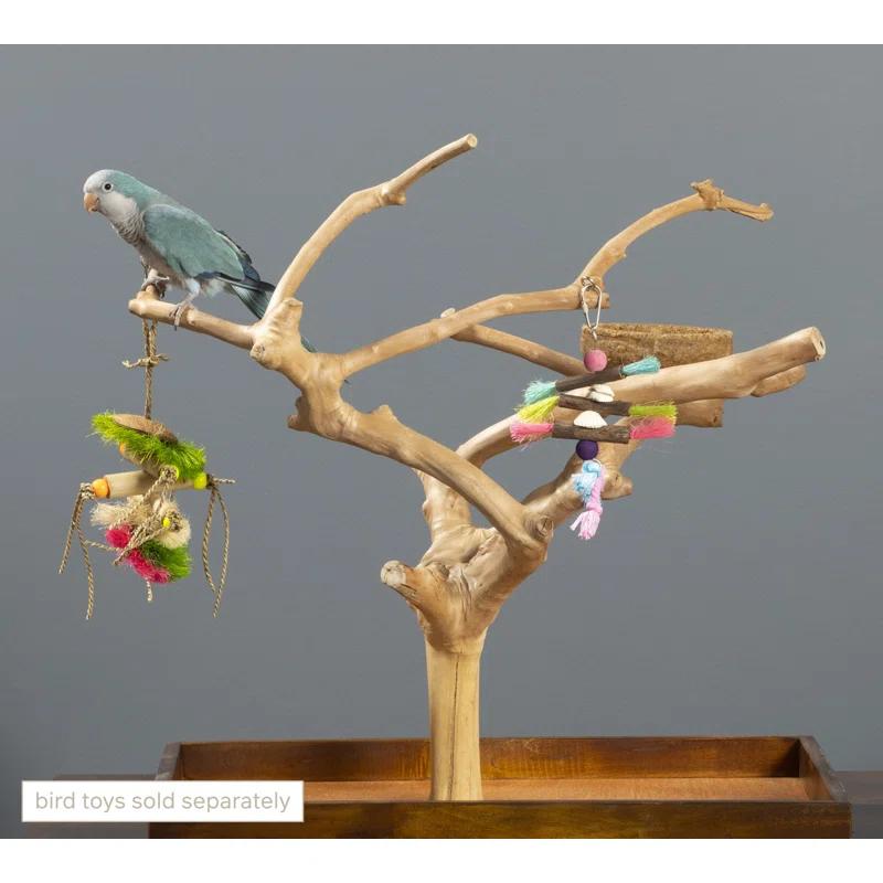 Tucker Murphy Pet™ Freeport One-of-a-Kind 22.5'' Wood Bird Play Stand for Table Top