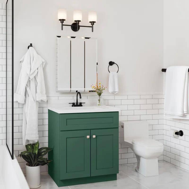Design House Brookings 30 Inch Bath Vanity, Ready to Assemble, Sherwin Williams®