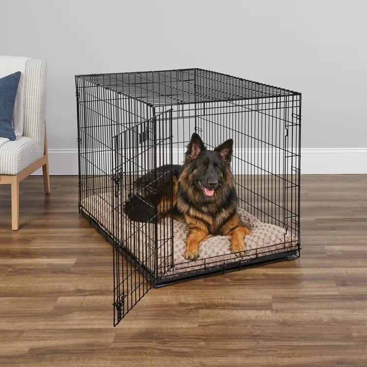 Midwest Homes For Pets MidWest Homes for Pets Newly Enhanced Single Door iCrate Dog Crate Includes Divider Panel