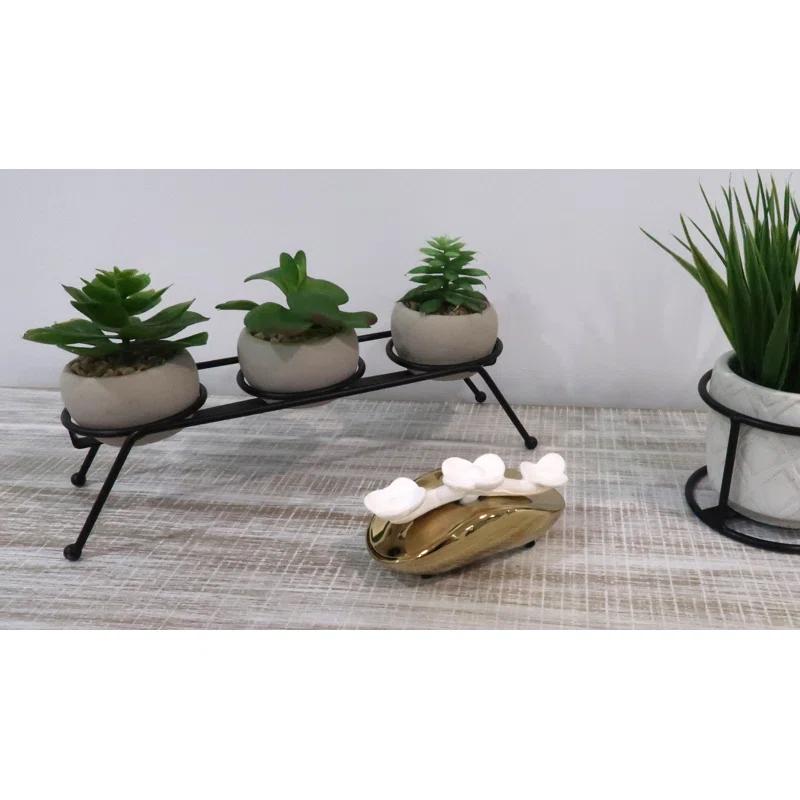 Vivience Fruity Reed Diffusers And Sticks