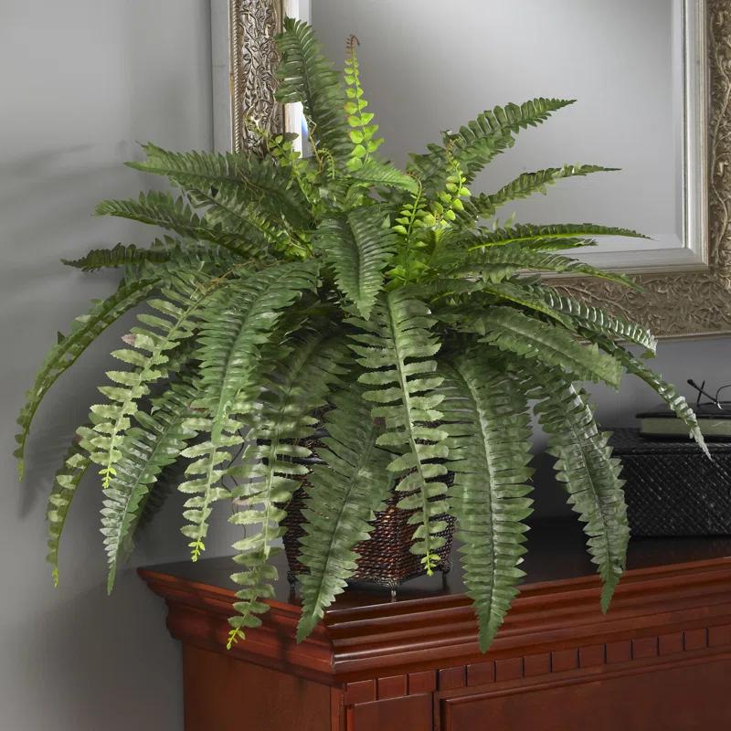 Birch Lane™ 23'' Faux Fern Plant in Wicker/Rattan Pot
