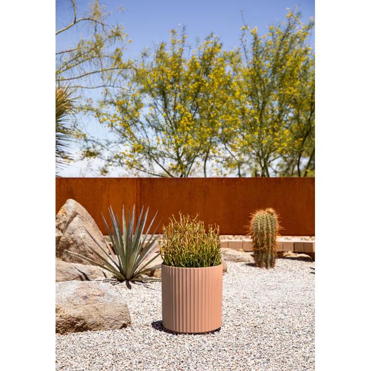 Veradek Demi Series Round Planter & Reviews | AllModern