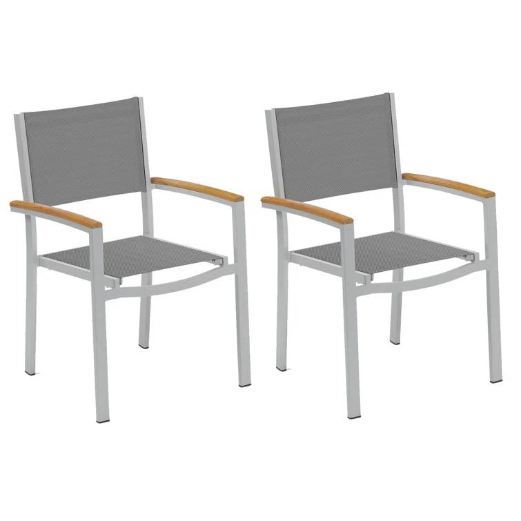 Hermes Indoor / Outdoor Dining Chair (Set of 2) - Gray and Carbon