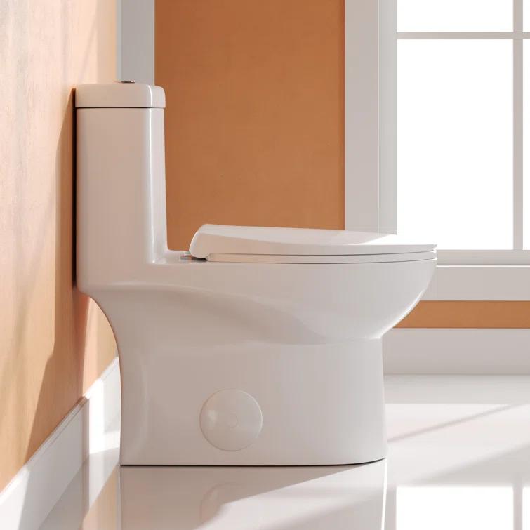 DeerValley Ally Dual-Flush Elongated One-Piece Toilet with Glazed Surface Modern Toilet with Comfort Seat Height  (Seat Included) DV-1F52816