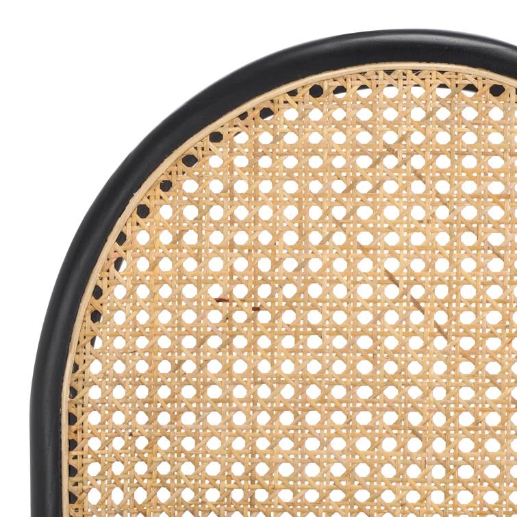 Ottavia Rattan And Leather Dining Chair (Set of 2)