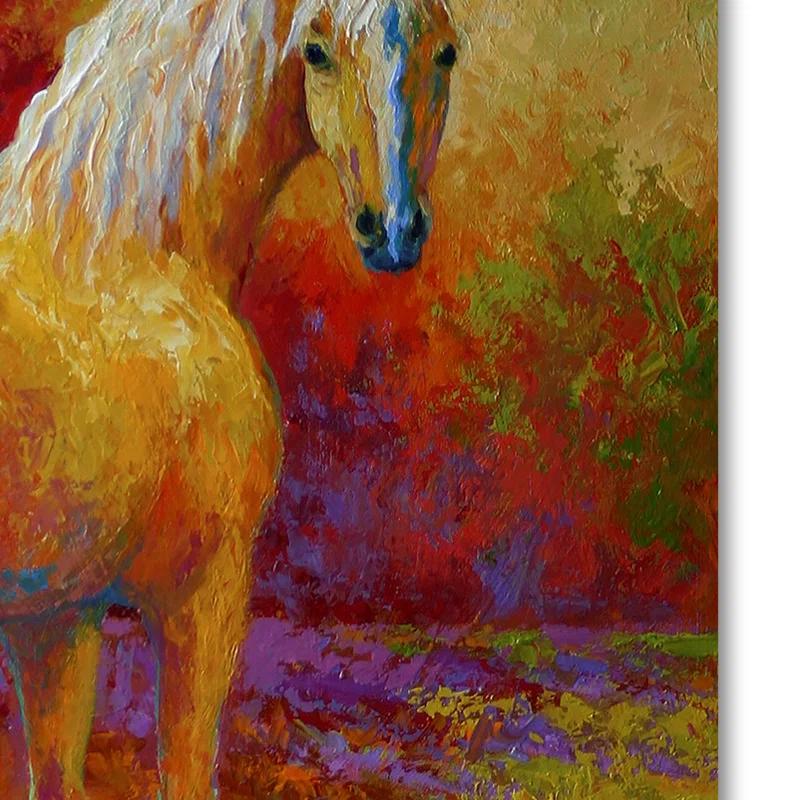 Trademark Fine Art Marion Rose " Palomino " by Marion Rose Painting Print