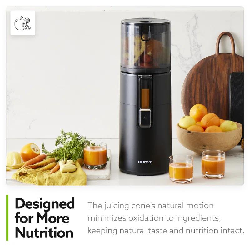 Hurom Hurom H400 Two Tone Easy Clean Slow Juicer