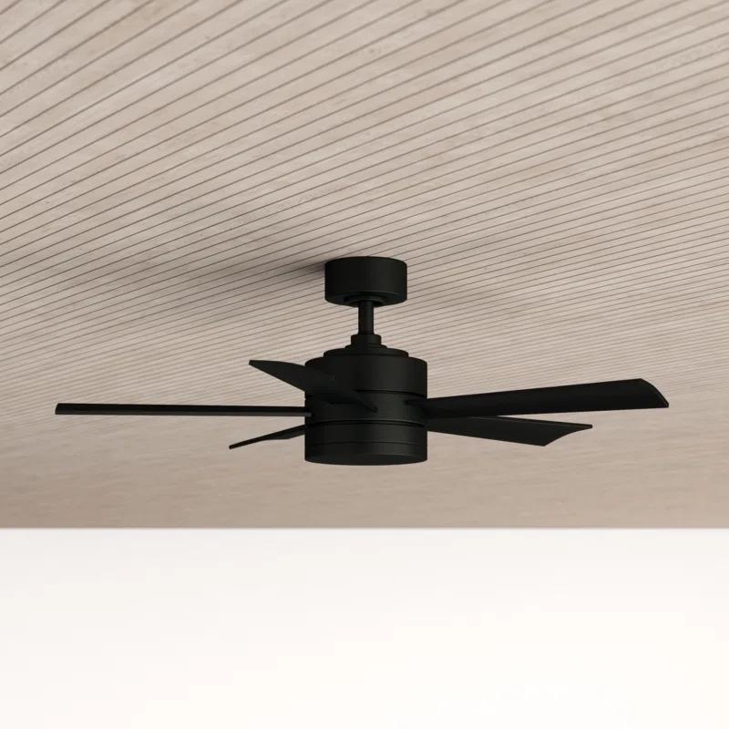 Wynd 5 - Blade Outdoor /Indoor Smart Ceiling Fan with Remote Control and LED Light Kit Included, Works With Alexa and iOS or Android App