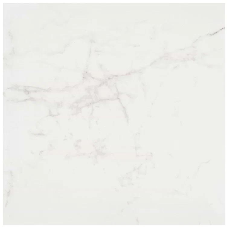 24" x 24" Polished Marble Look Porcelain Floor and Wall Tile (15.5 Sq. Ft. / Case)