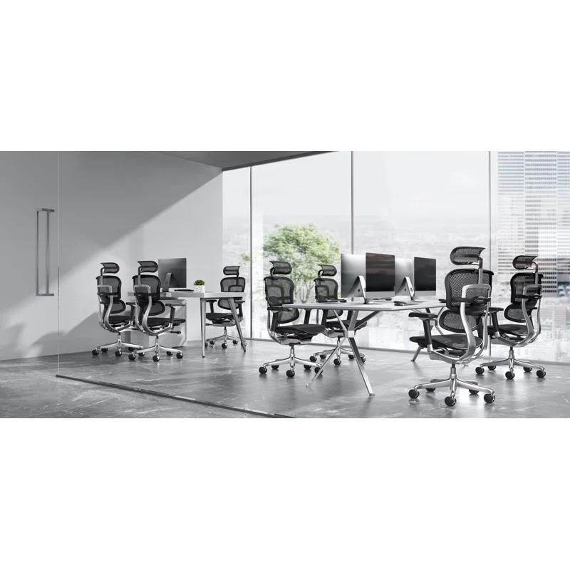 Eurotech Seating Ergohuman Executive Chair with Headrest