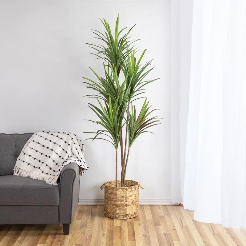 Northlight Seasonal 5.5' Green Artificial Potted Dracaena Marginata Plant