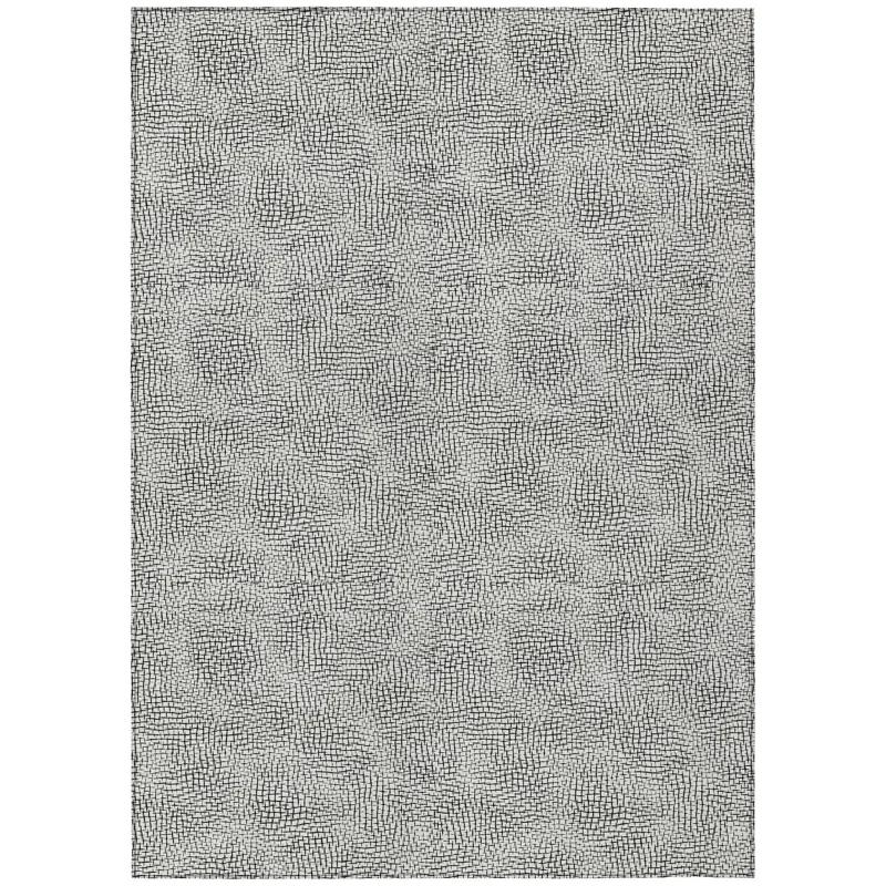Machine Washable Indoor/Outdoor Chayden ACN1058 White Rug