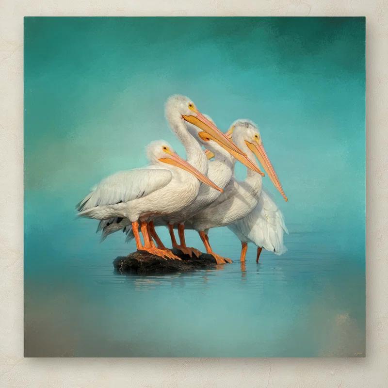 Trademark Fine Art Jai Johnson " We Are Family White Pelicans " by Jai Johnson