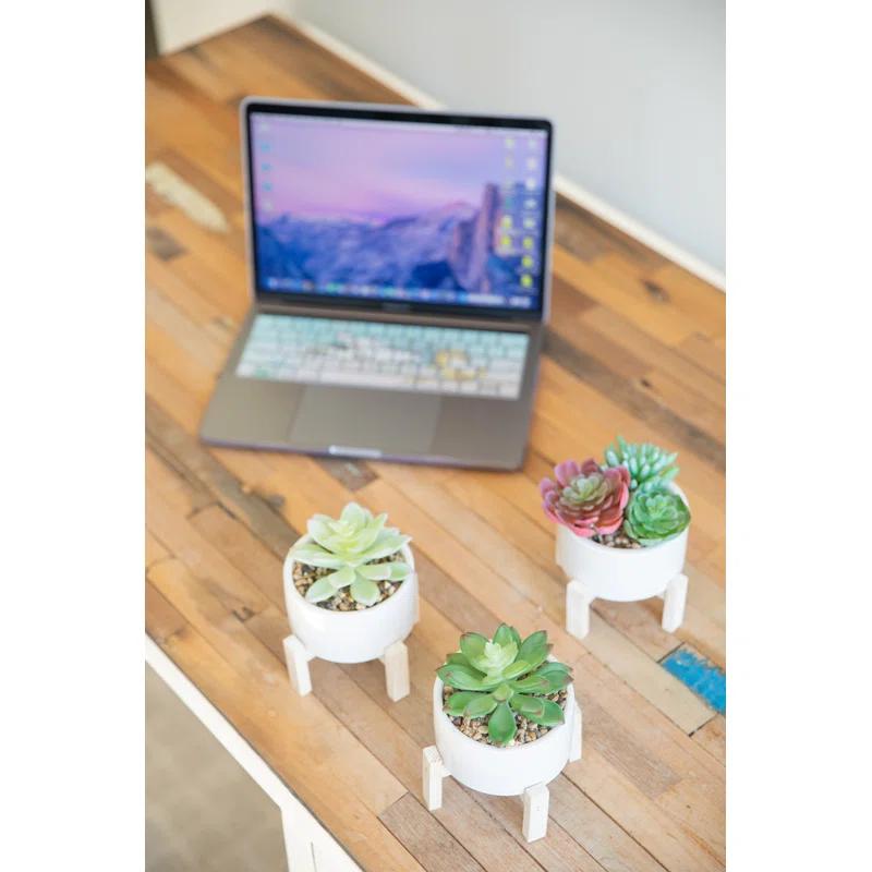 Primrue 5.5'' Faux Succulent Plant in Ceramic Pot