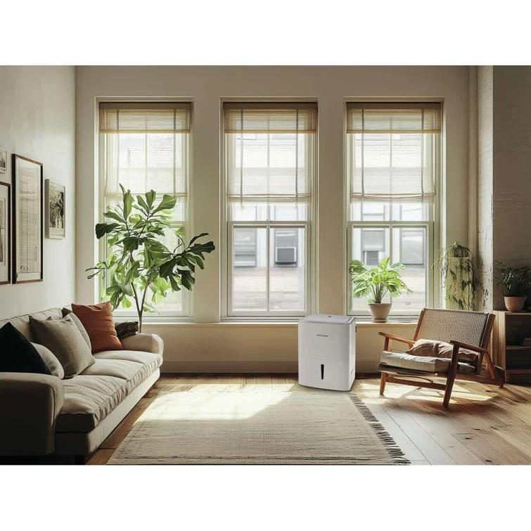 Frigidaire Frigidaire 22 Pint Dehumidifier