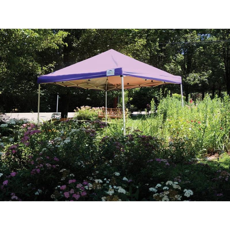 ShelterLogic 12 Ft. W x 12 Ft. D Metal Pop-Up Canopy
