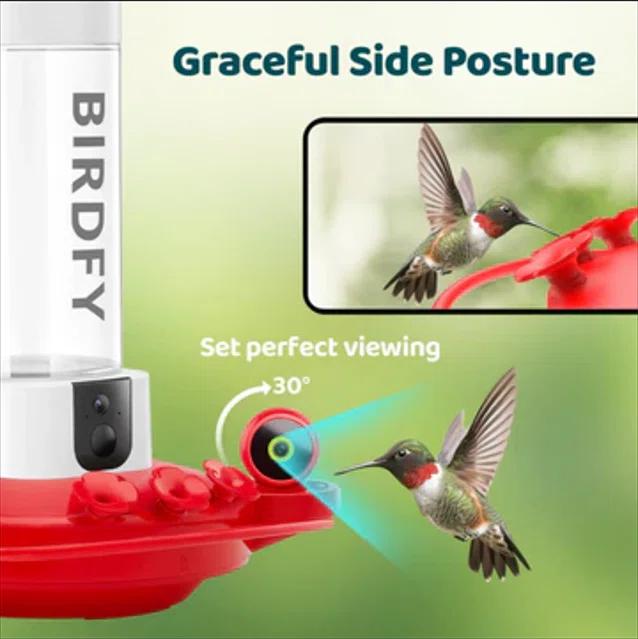Birdfy NETVUE Birdfy Hummingbird Feeder with 2 Cameras Solar Powered - Dual Smart Cams, 2K HD Wireless for 2 Angels Close-up Bird Watching Outdoor, Instant Notifications (20Oz) (Hum Duo AI Solar)