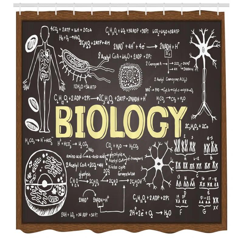 Ambesonne Shower Curtain with Hooks Included