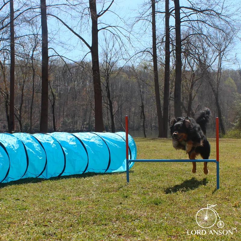 Lord Anson Lord Anson Dog Agility Set - Dog Agility Equipment - 1 Dog Tunnel, 6 Weave Poles, 1 Dog Agility Jump - Canine Agility Set For Dog Training, Obedience, Rehabilitation