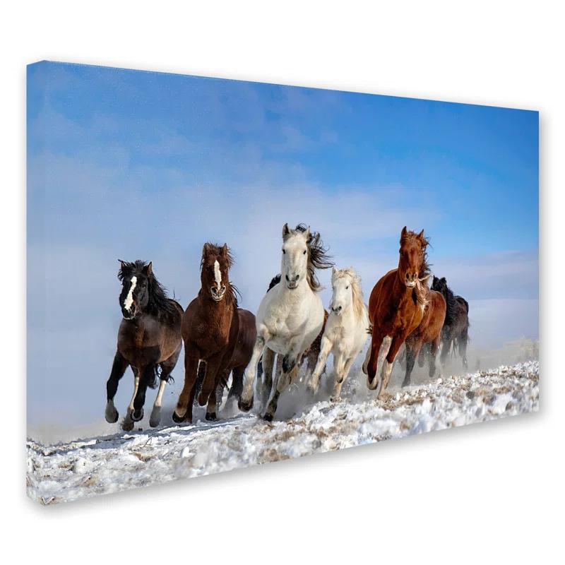 Trademark Fine Art " Mongolia Horses " by Libby Zhang