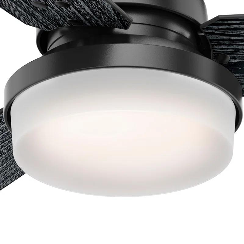 Hunter Fan 52" Sentinel 3 -Blade Standard Ceiling Fan with Remote Control and Light Kit Included