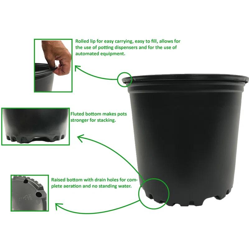 Arlmont & Co. Erdenheim Nursery Pot (Set of 12)