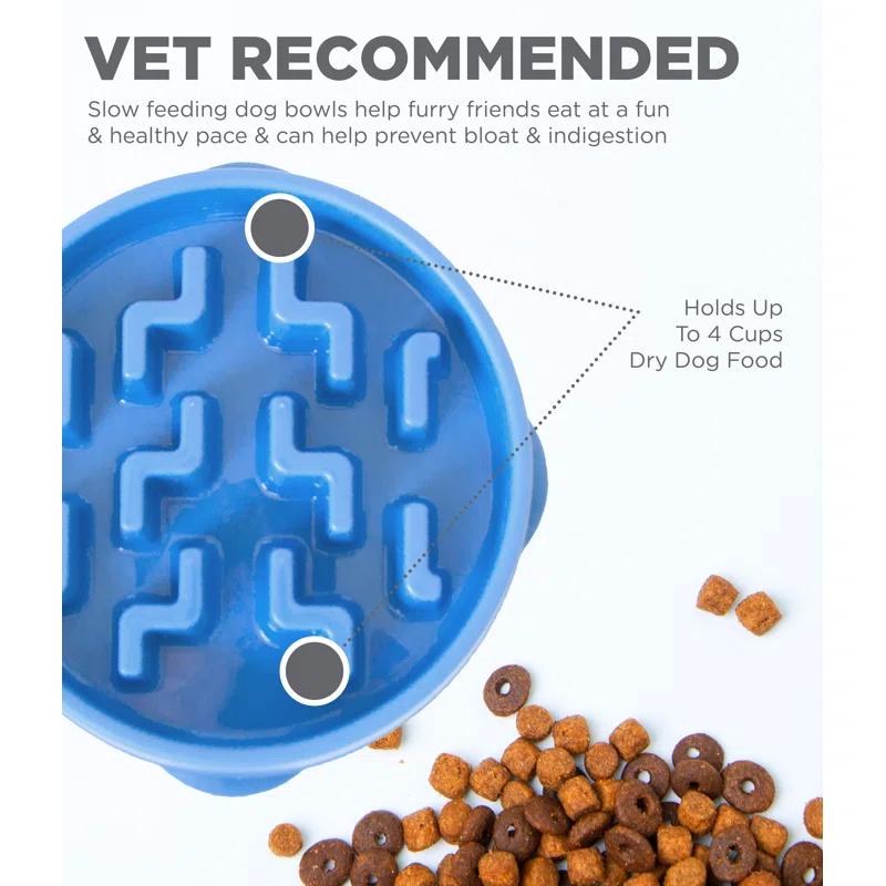 Outward Hound Outward Hound Fun Feeder Slow Bowl, Slow Feeder Dog Bowl, Blue