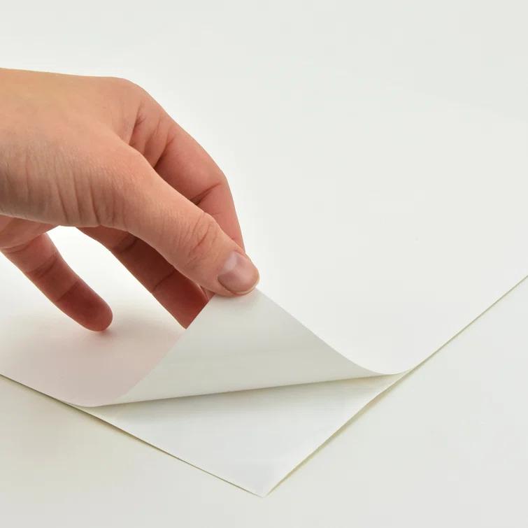 WallPops! 3'' W x 6.5'' L Resin Peel and Stick Subway Tile (Set of 4)