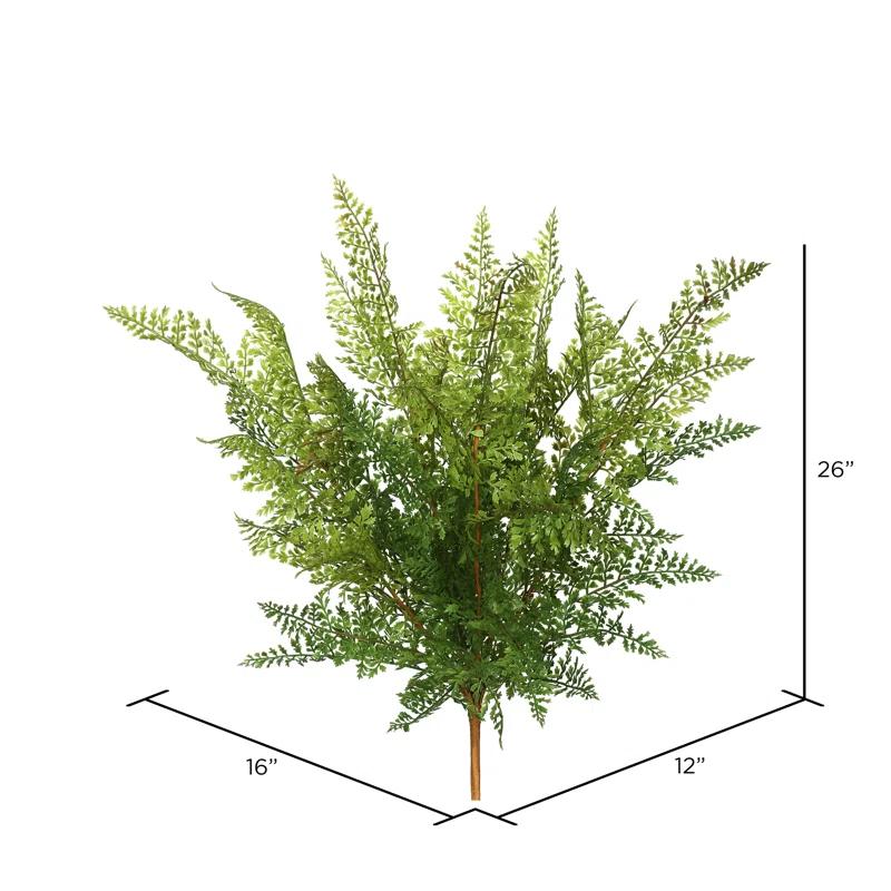 Millwood Pines Fern Bush