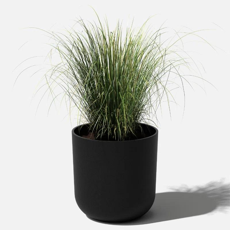 Mason Series Kona Planter