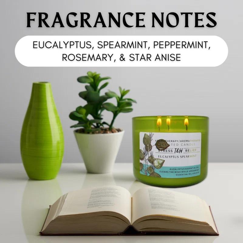 T&H Wholesalers Eucalyptus Spearmint Scented Soy Candle 3 Wick Aromatherapy Candle for Women and Men