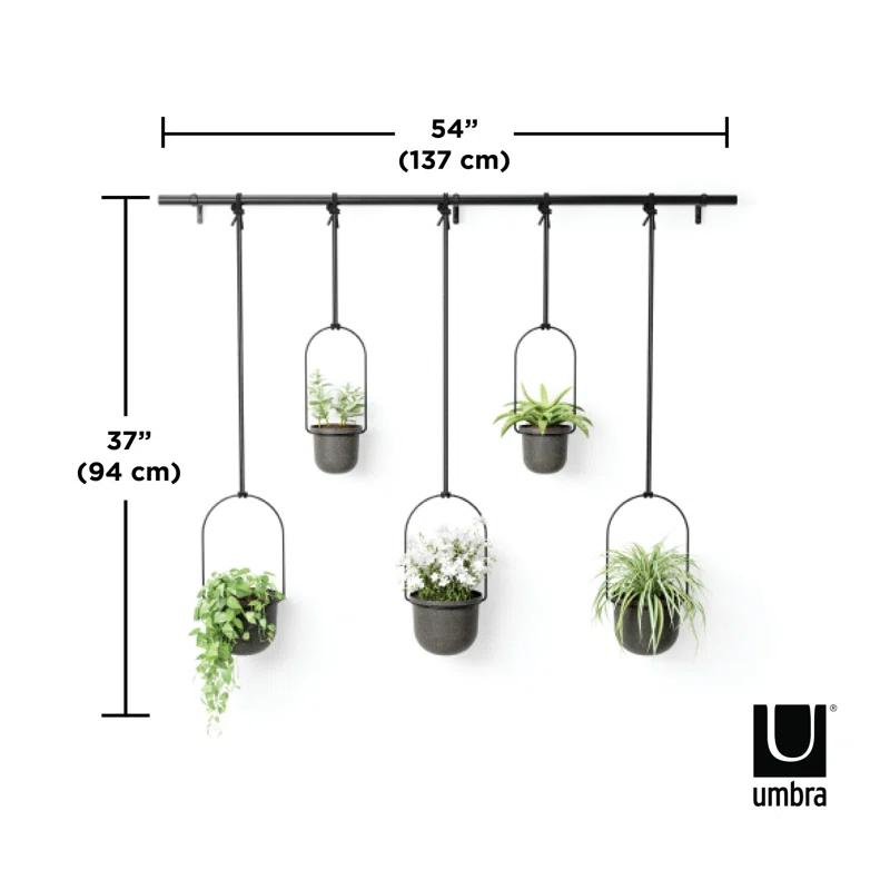 Triflora Large Hanging Planter