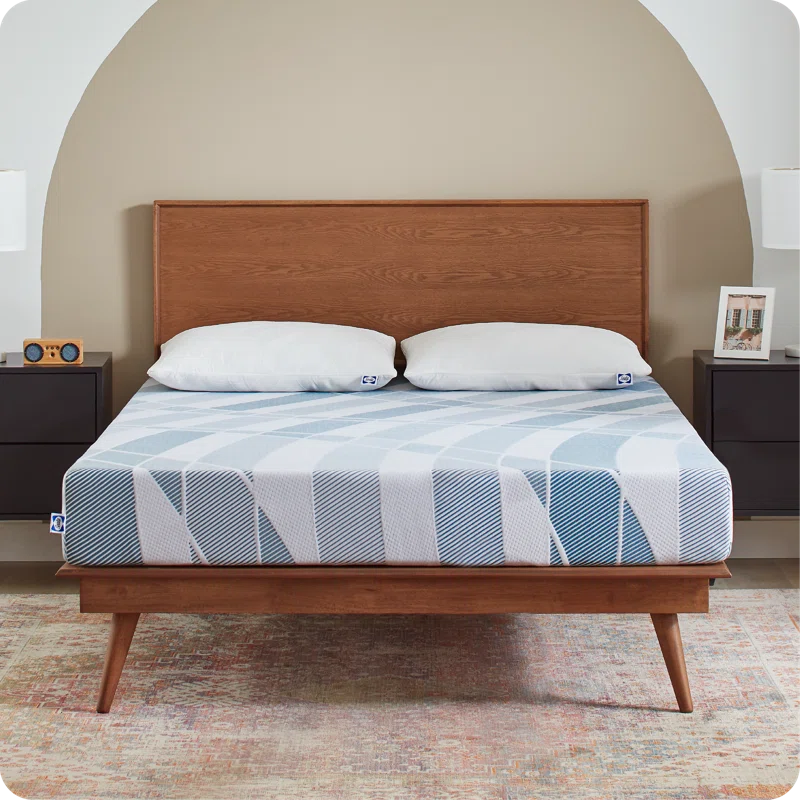 Sealy Dreamlife 8” Medium-Firm Foam Mattress-in-a-Box