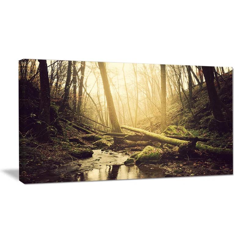 Design Art " Stream In The Dark Wild Forest "