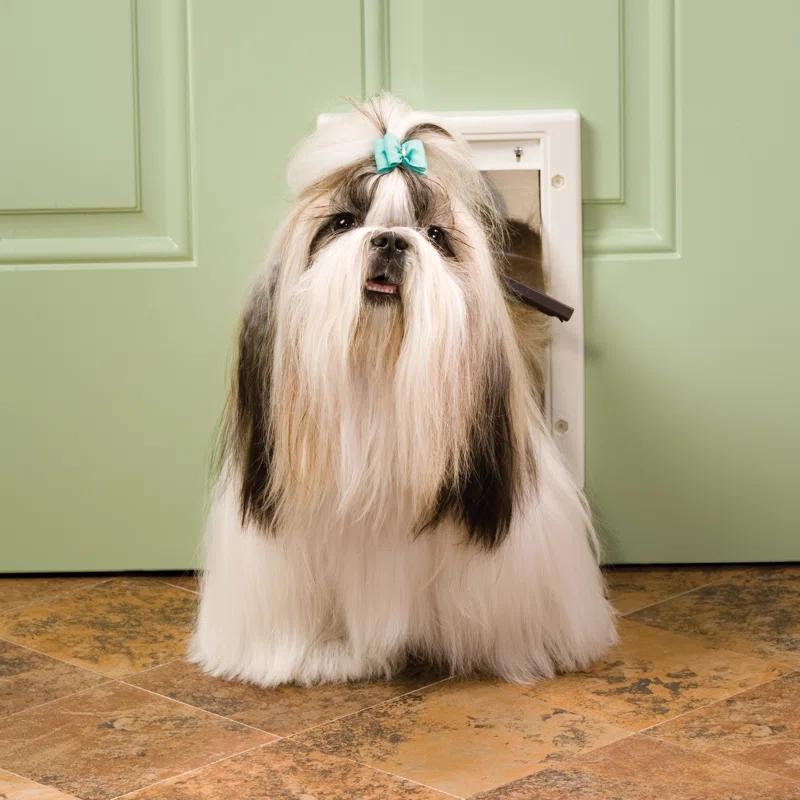 PetSafe® PetSafe® Plastic Pet Door X-Large