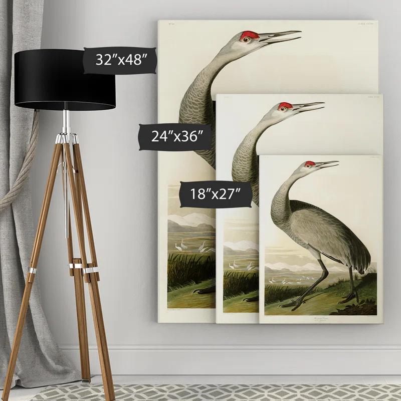 Vault W Artwork " Whooping Crane " by John Audubon