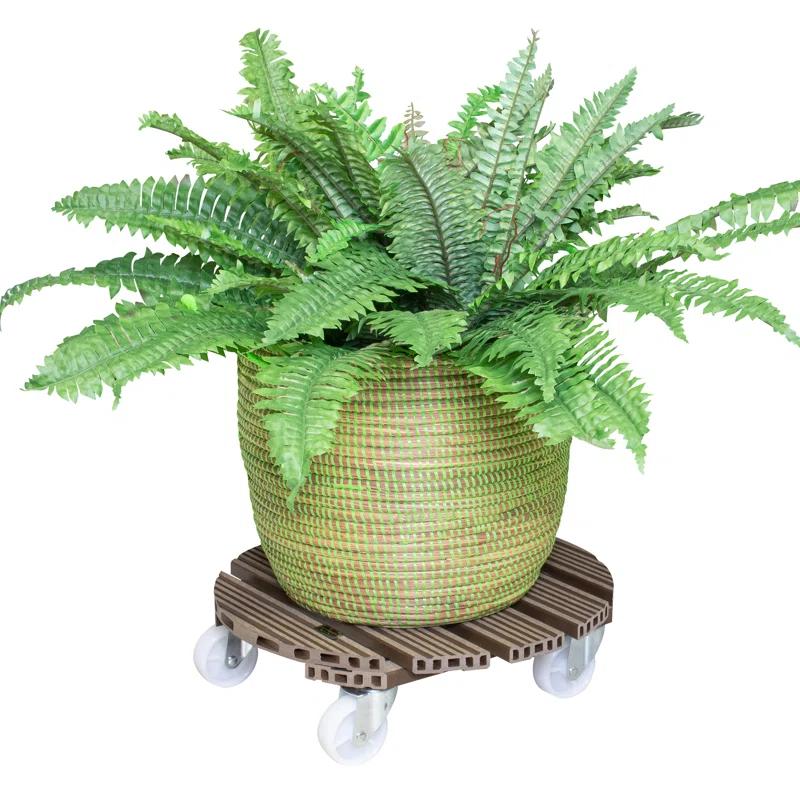 Arlmont & Co. Wagner Design Yourself Taupe Round WPC Plant Caddy Pyrrhos