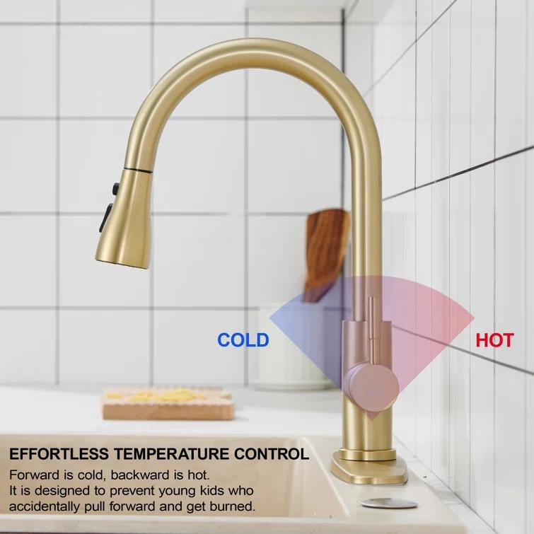 GAGALIFE Single Handle Pull Down Sprayer Kitchen Faucet High Arc Stainless Steel Faucet with 3-Function Sprayer JJL-CL-PT-SDP-G