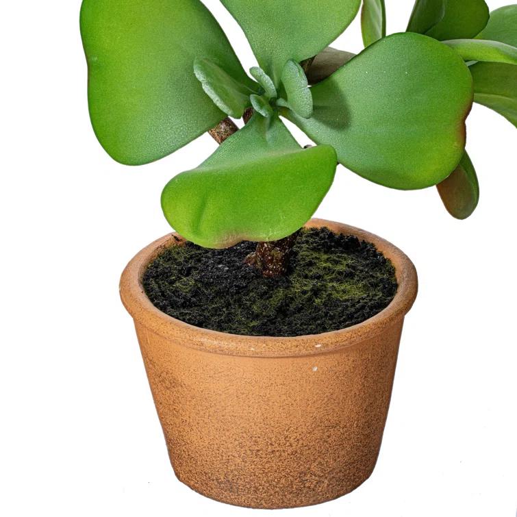 Primrue 14'' Faux Succulent Plant in Pot
