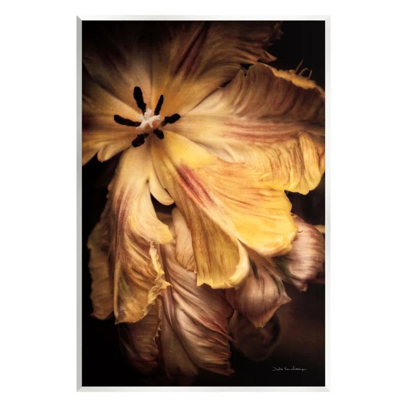 Stupell Industries " Modern Hibiscus Photography " by Debra Van Swearingen