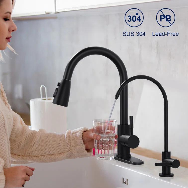 ARCORA ARCORA Stainless Steel Pull-Down Kitchen Faucet and Water Filter Faucet Combo AR7100301B-L