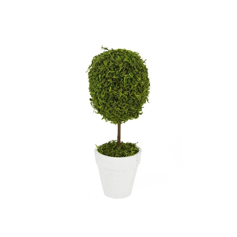 Northlight Seasonal Green Reindeer Moss Ball Potted Artificial Spring Topiary Tree