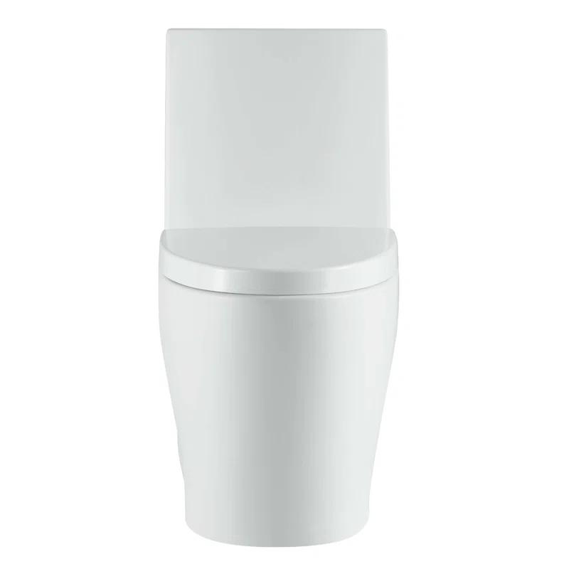 Dual-Flush Elongated One-Piece Toilet with High Efficiency Flush