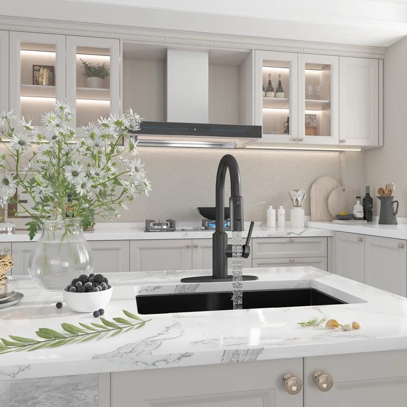 Boyel Living BL-APS244-MB Boyel Living Kitchen Faucet