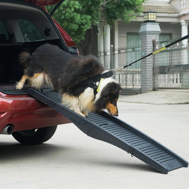 Tucker Murphy Pet™ Folding Dog Ramp Black 60.2" x 15.7" x 4.9" Plastic