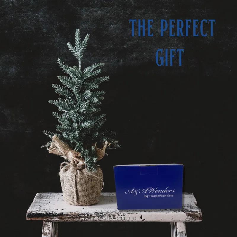 A&A Wonders 10oz. Whiskey Glass Set (Set of 2)