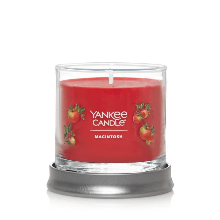 YANKEE CANDLE Signature Macintosh Scented Tumbler Candle & Reviews | Wayfair