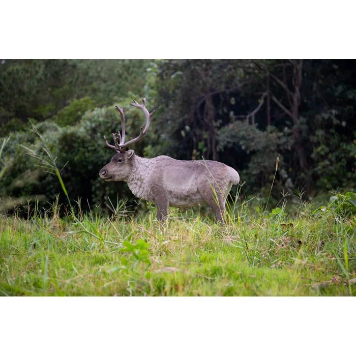 Hi-Line Gift Ltd. Reindeer Standing