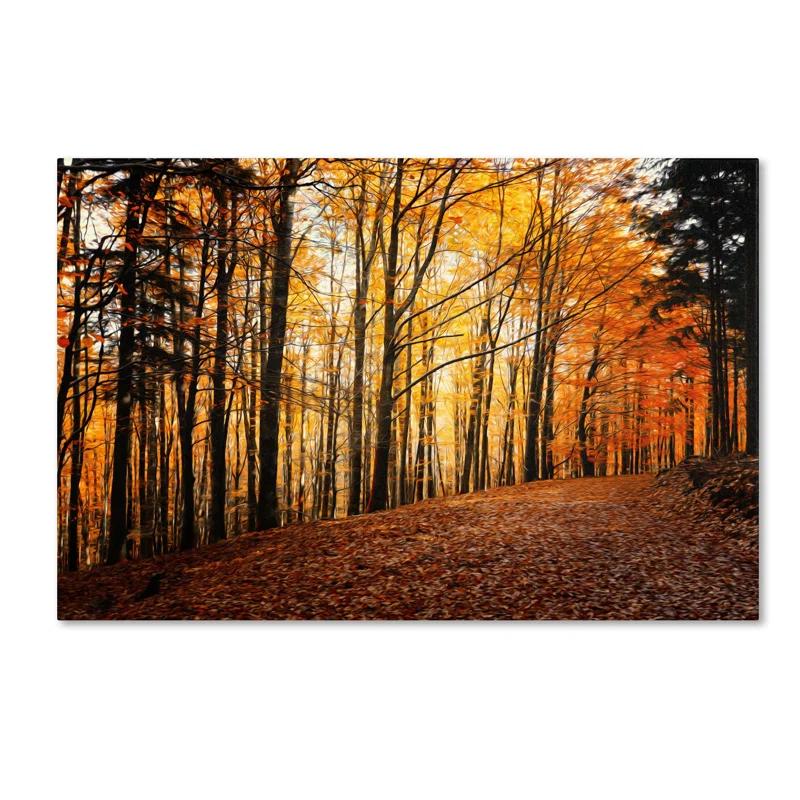 Millwood Pines Autumn Leaves Pathway by Philippe Sainte-Laudy - Wrapped Canvas Photograph Print & Reviews | Wayfair