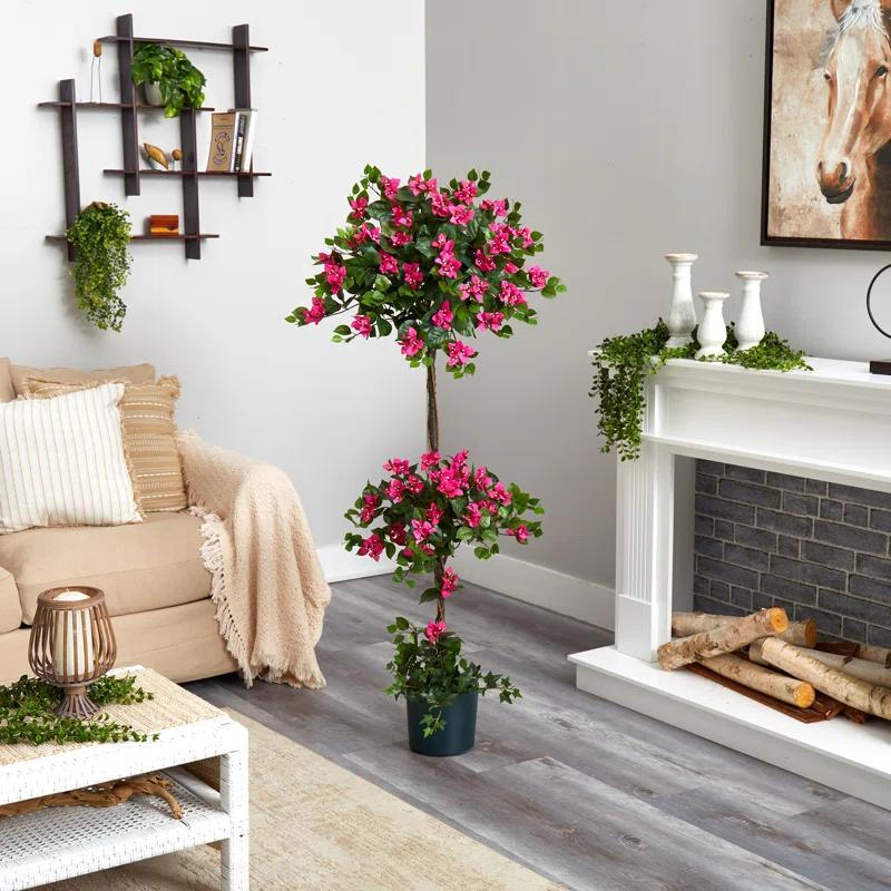 Primrue 5ft. Mini Bougainvillea Topiary